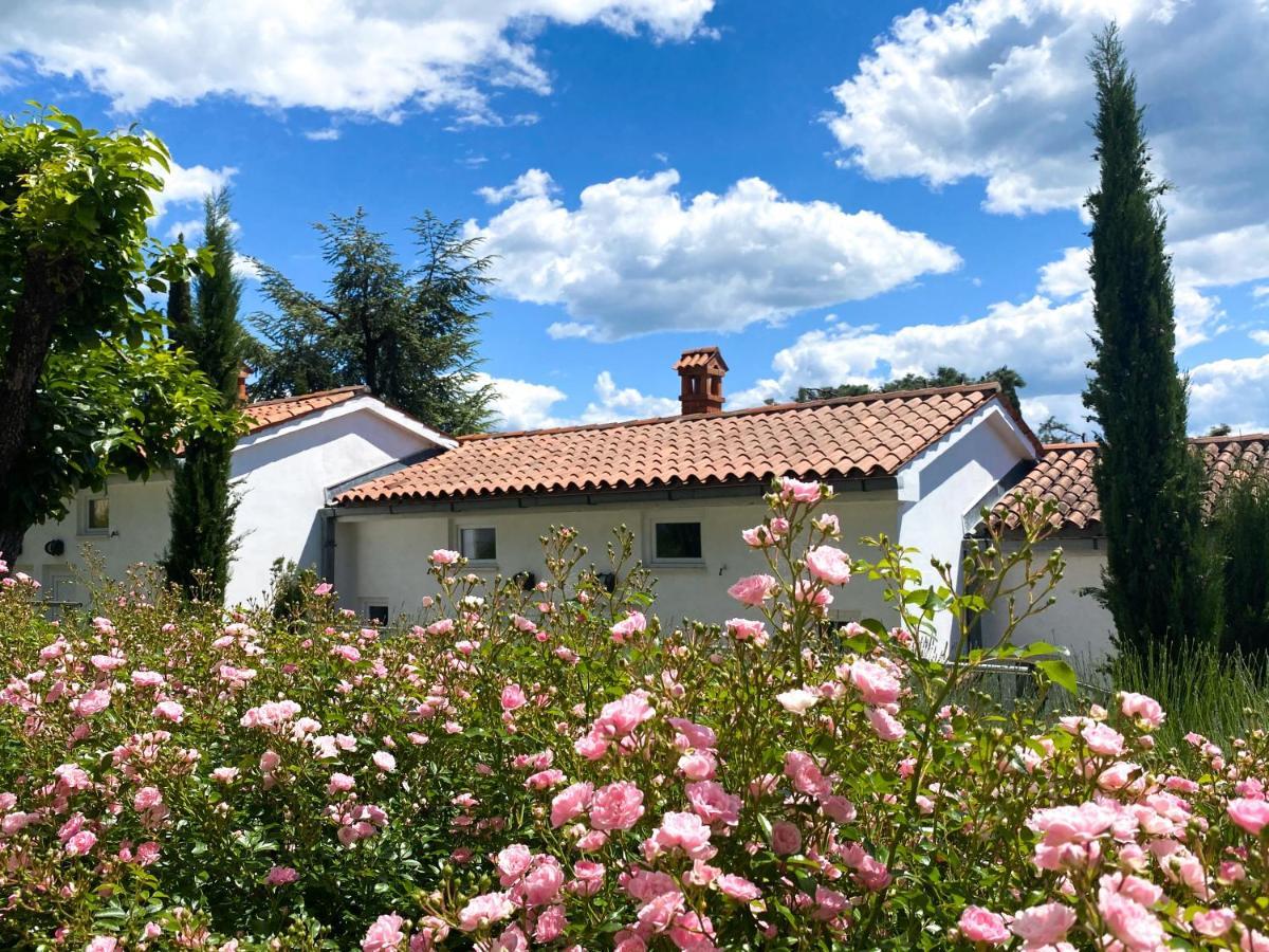 Calma Bungalows Portoroz Exterior photo